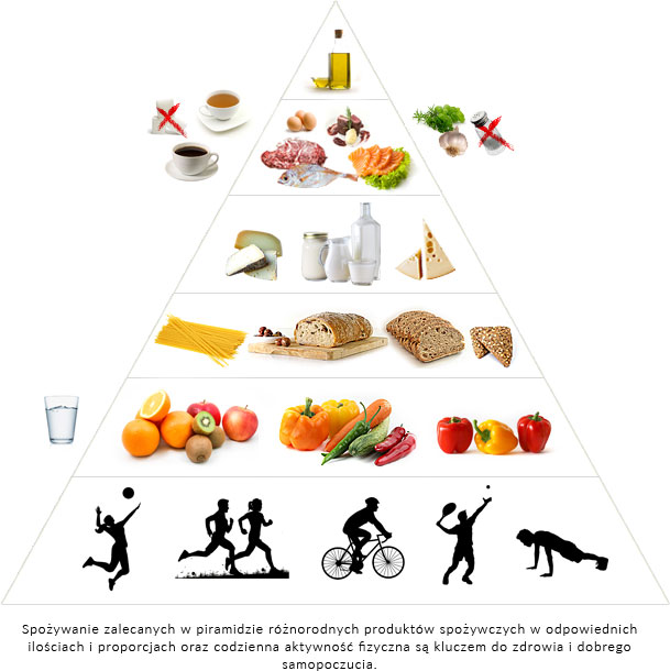 piramida zywieniowa zdrowego zywienia